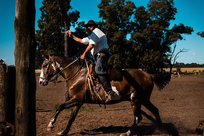 Gaucho Day Trip from Buenos Aires: Santa Susana Ranch - Hotel Pickup, Pampas Drive, and the 8-Hour Reality Check