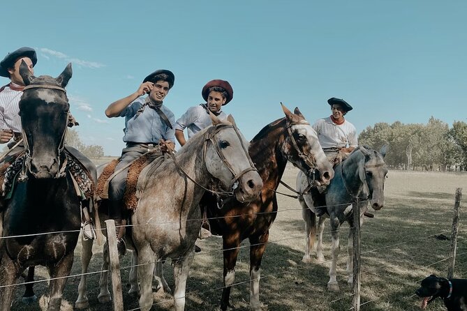 Gaucho Experience: A Day Trip to Don Silvano Ranch - Museum, bakery, and milking moments: what you may (and may not) get