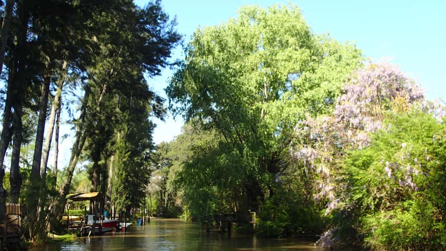 Navigation in Delta of Tigre - Exclusive semi private tour - Rain plans and the satisfaction guarantee that actually reduces stress