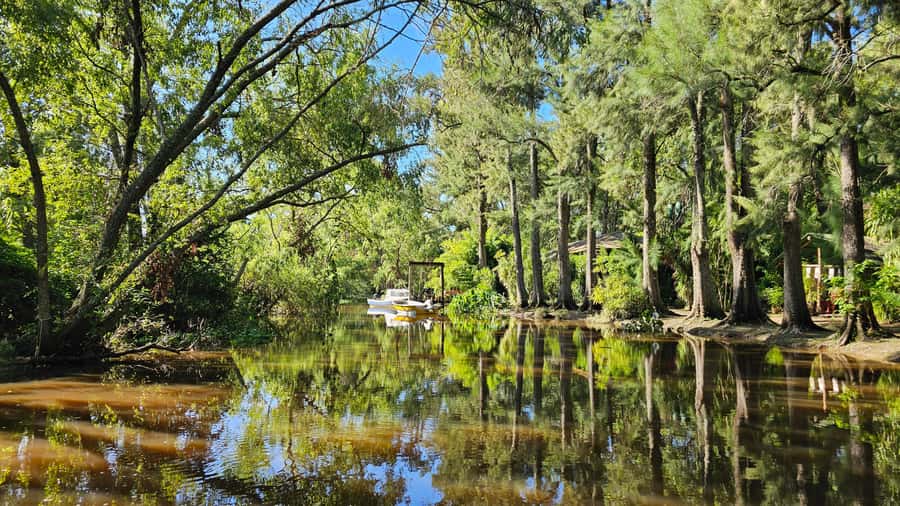 Navigation in Delta of Tigre - Exclusive semi private tour - Why a semi-private Tigre speedboat beats big-boat days