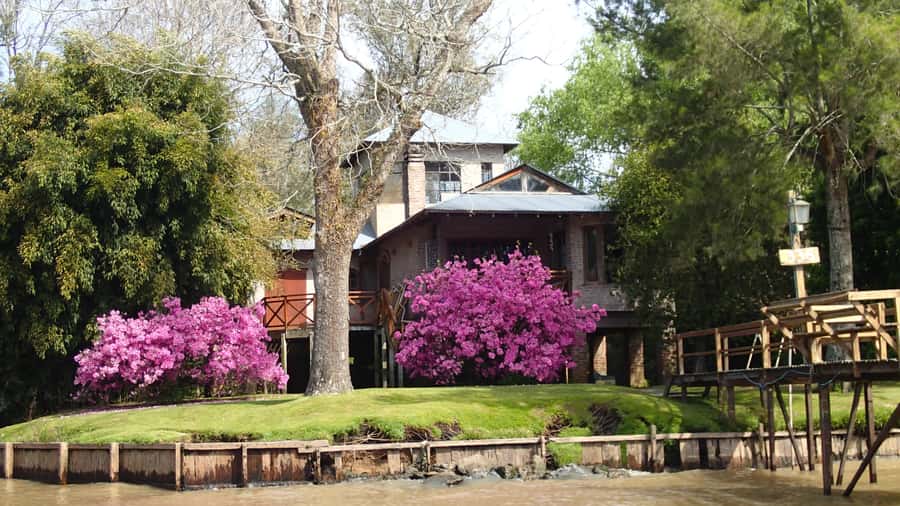 Navigation in Delta of Tigre - Exclusive semi private tour - Wildlife and plant spotting from the water
