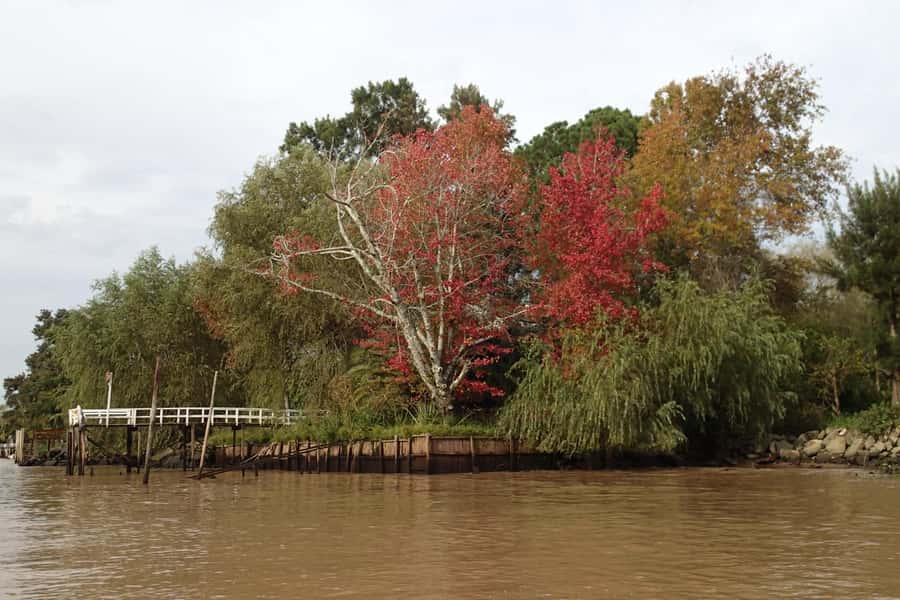 Navigation in Delta of Tigre - Exclusive semi private tour - Enrique vs Martin: when the guide changes (and why it shouldn’t matter)