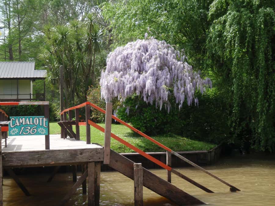 Navigation in Delta of Tigre - Exclusive semi private tour - Health and comfort considerations before you book
