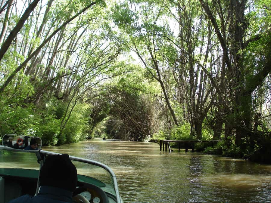 Navigation in Delta of Tigre - Exclusive semi private tour - Door-to-door pickup in Buenos Aires, with a grey Honda Accord