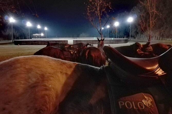 Polo Under the Stars and Argentine BBQ Evening Venue from Buenos Aires - Key Things I’d Highlight Before You Go