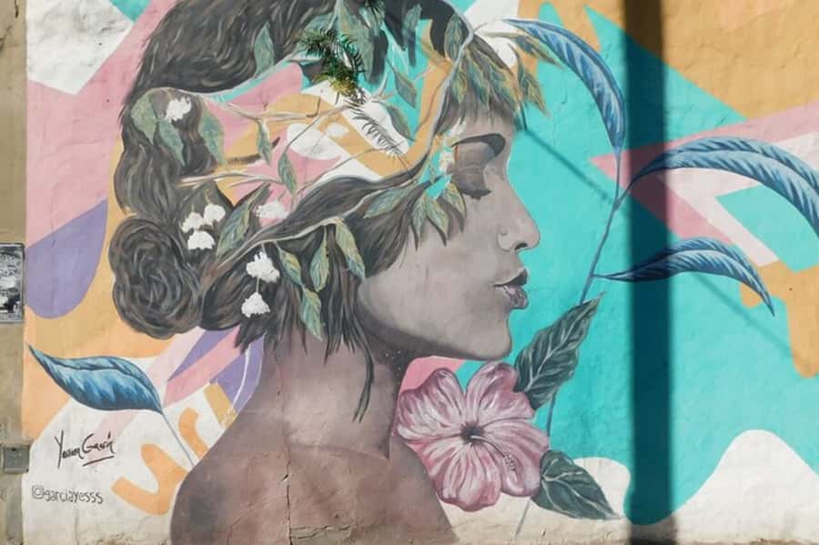 Premium Argentinian Wine and Malbec Tasting & Urban Art Tour - Key things I’d plan for before you go