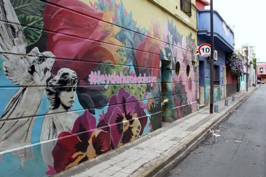 Premium Argentinian Wine and Malbec Tasting & Urban Art Tour - Who this tour suits best (and who should skip)