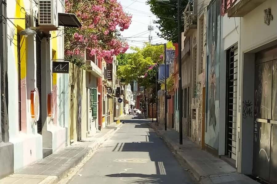Premium Argentinian Wine and Malbec Tasting & Urban Art Tour - Getting started in Palermo Soho: meeting point and timing