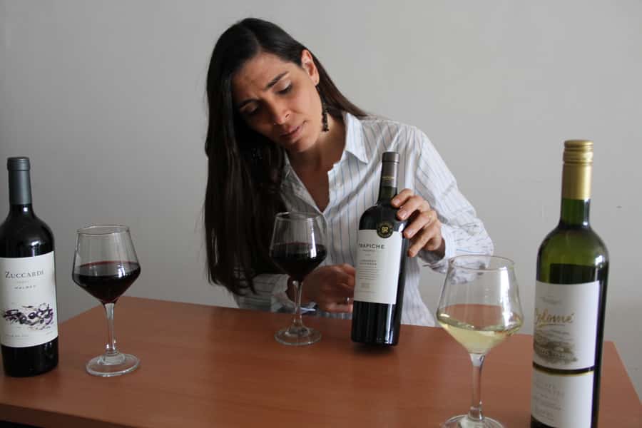 Premium Argentinian Wines and Malbec Tasting Experience - Should You Book This Premium Argentinian Wines and Malbec Tasting?