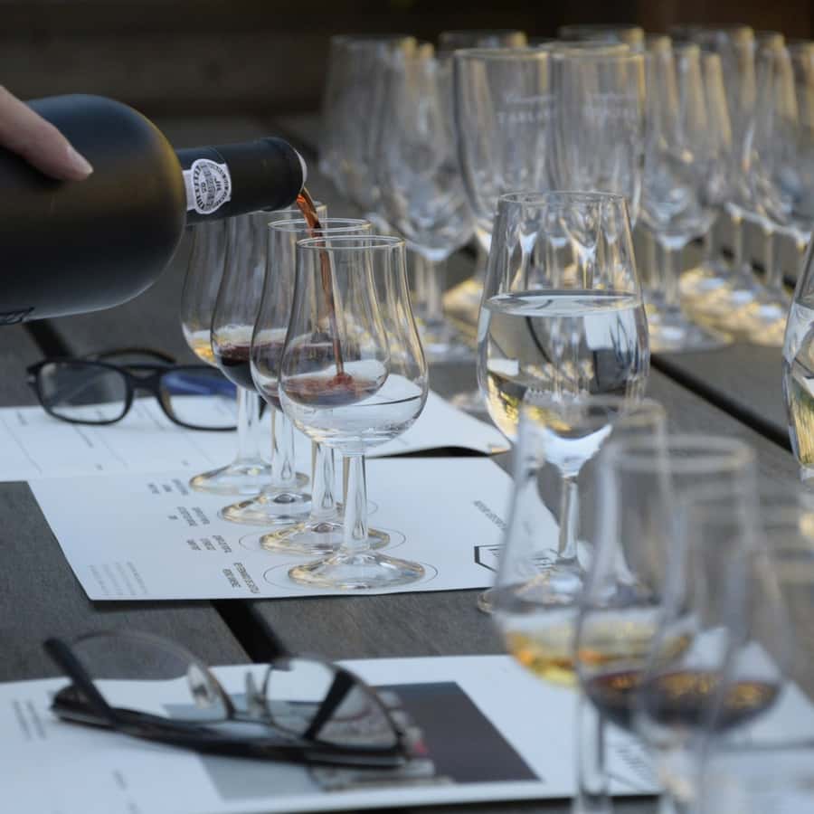 Premium Empanadas Cooking Class & Wine Tasting Experience - Price and value: is $49 a fair deal?