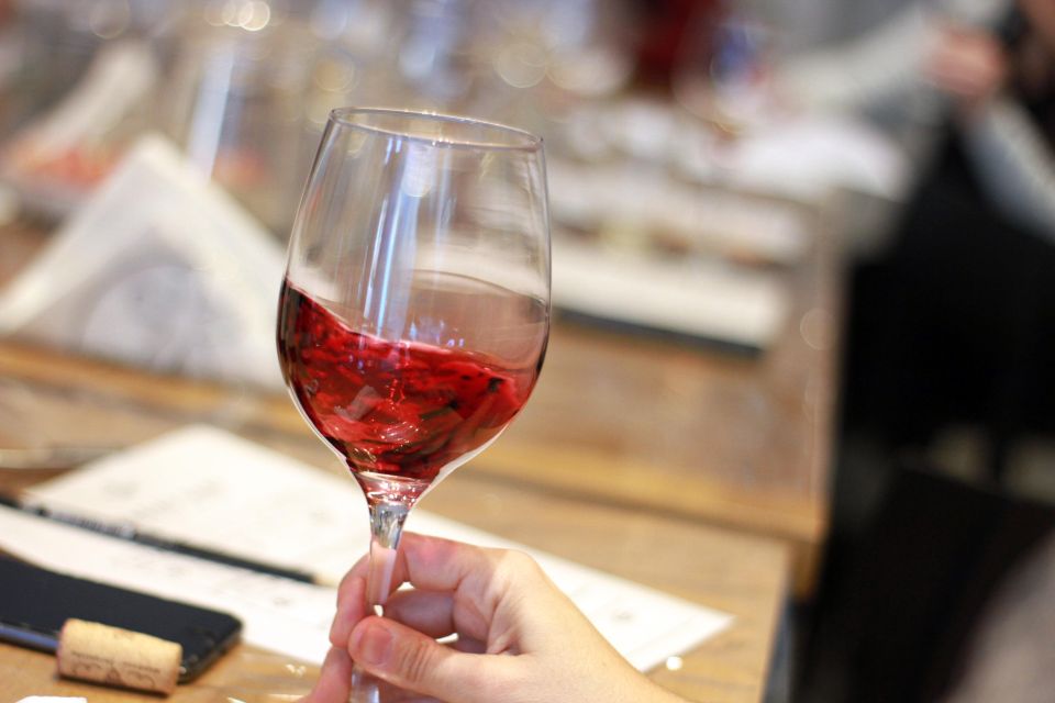 Premium Empanadas Cooking Class & Wine Tasting Experience - Who this experience suits best (and who should skip it)