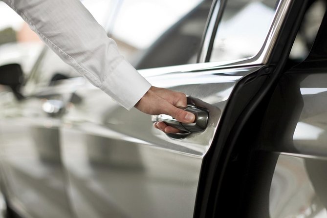Private Arrival Transfer: Ezeiza Airport to Buenos Aires Hotels - Best Fit: Who This Transfer Is For