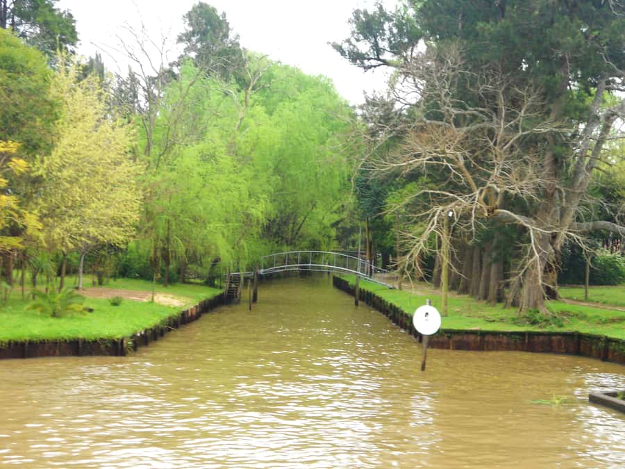 Private Day Trip to Tigre Delta from Buenos Aires - The guide: why the explanations matter (and can steer your day)