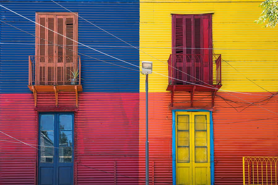 Private Street Art Tour in Buenos Aires - What you’ll see: murals, graffiti, and street installations