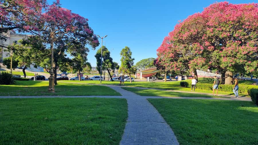 Recoleta Walking Tour and Live Jazz Show - Plaza Francia to Iglesia del Pilar: quick stops with good payoff