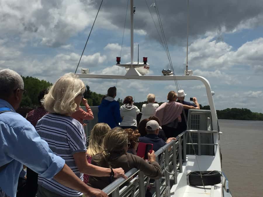 Tigre Delta: Half-Day Tour and Boat Trip - Key Things I’d Focus On