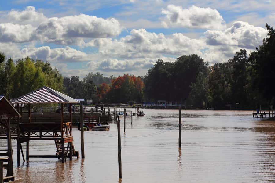 Tigre: River Delta Panoramic Boat Tour - Quick Key Points