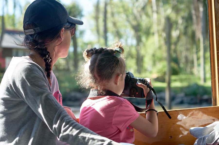 Tigre: River Delta Panoramic Boat Tour - Tigre River Delta Boat Tour: Why This 1-Hour Cruise Feels So Effective