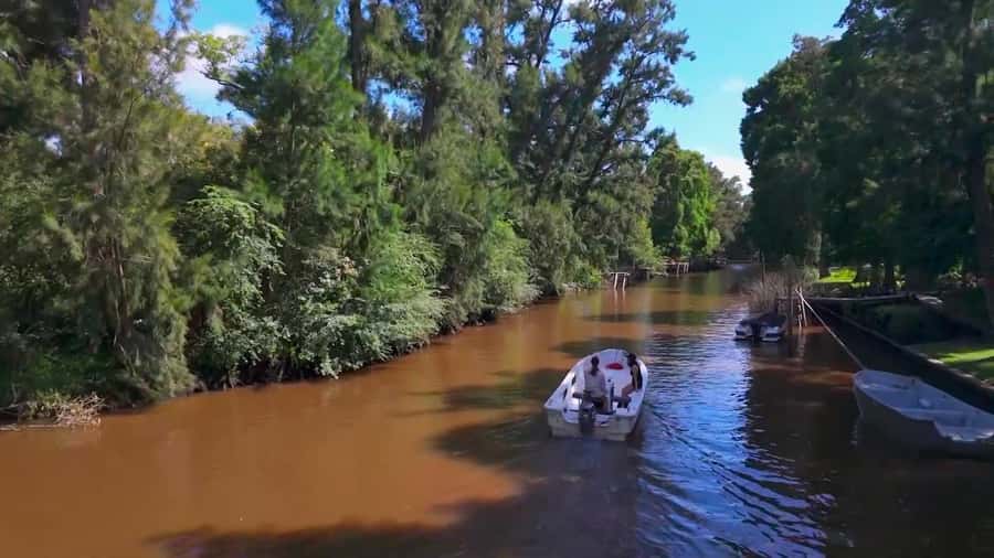 Tigre: Safari Náutico en Tigre/ Biosphere Reserve Boat Tour - Key Highlights You’ll Actually Feel
