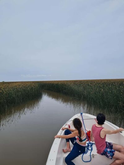 Tigre: Safari Náutico en Tigre/ Biosphere Reserve Boat Tour - Tres Bocas, Wetland Observations, and Where Birds Become the Main Event