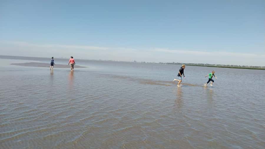 Tigre: Safari Náutico en Tigre/ Biosphere Reserve Boat Tour - Price and Value: What $150 Buys You in a 4.5-Hour Day