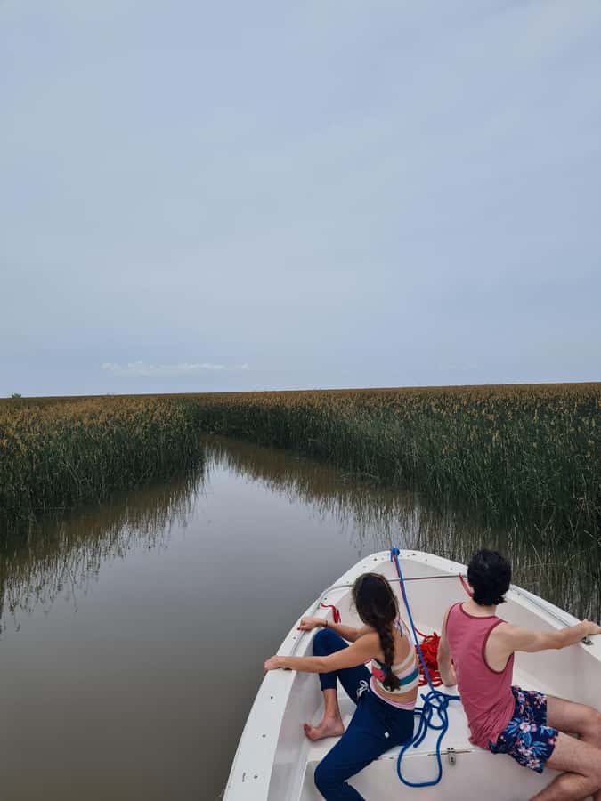 Tigre: Safari Náutico en Tigre/ Biosphere Reserve Boat Tour - Tres Bocas, Wetland Observations, and Where Birds Become the Main Event