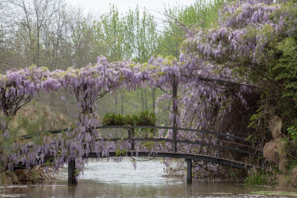 Tigre: sailing and hiking around El Descanso Island - Isla El Descanso: gardens, designer paths, and seasonal beauty