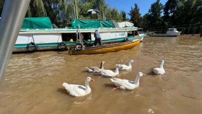 Unique Tigre and Delta Private Day Cruise Navegation - San Isidro in 15 minutes: why this quick stop works